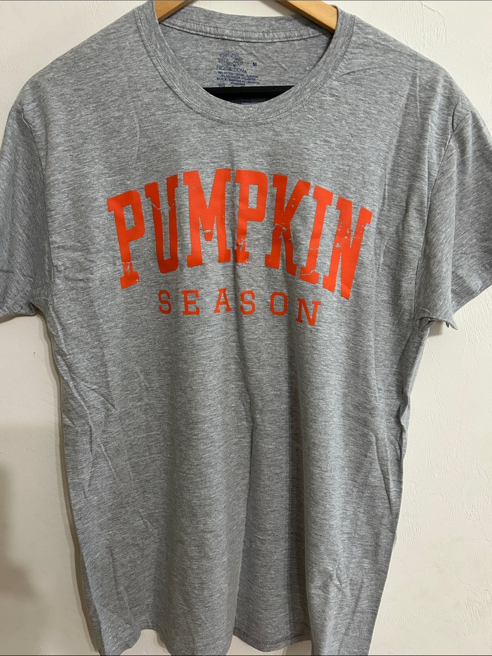 Pumpkin Season Gray Graphic Tee Womem Size M Fruit of the Loom NEW